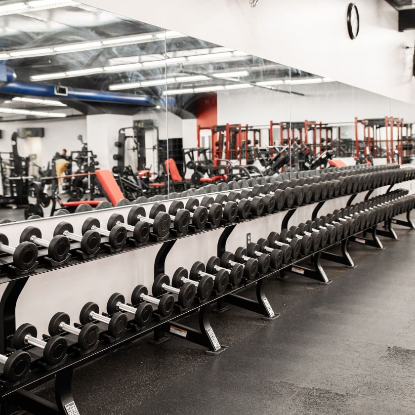 the best free weight amenities and strength training near me